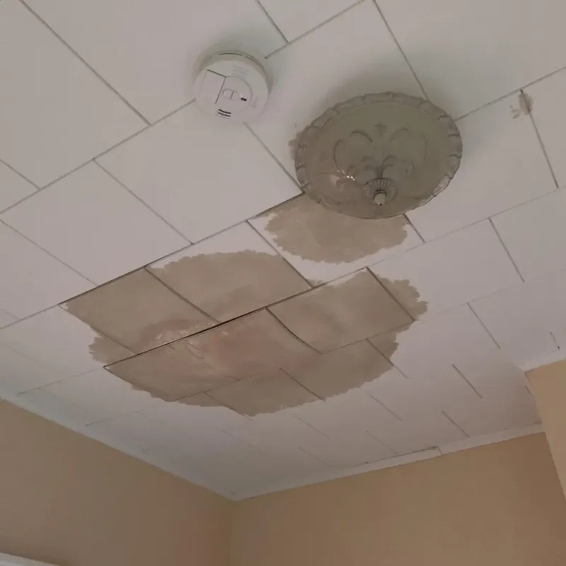 Ceiling Water Damage Repair in North Amherst, MA