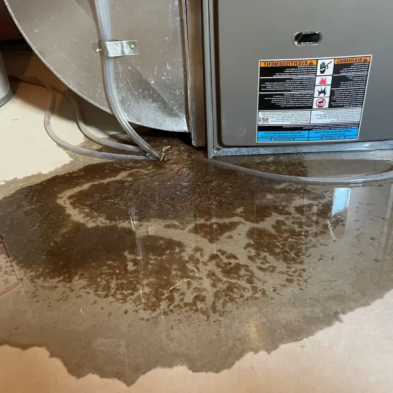 Pipe Burst and Leak Restoration in North Amherst, MA